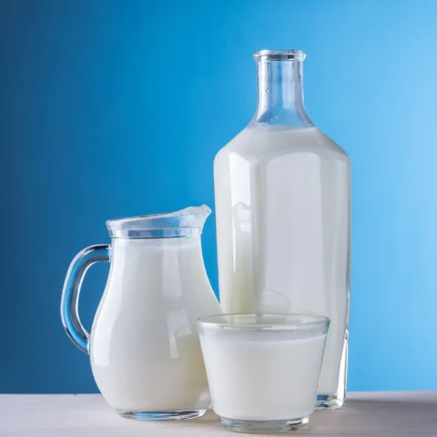 Buffalo Milk — ਮੱਝ ਦਾ ਦੁੱਧ