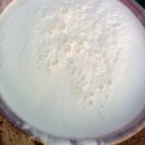 Toned Milk Packet — ਟੋਨਡ ਦੁੱਧ ਪੈਕੇਟ